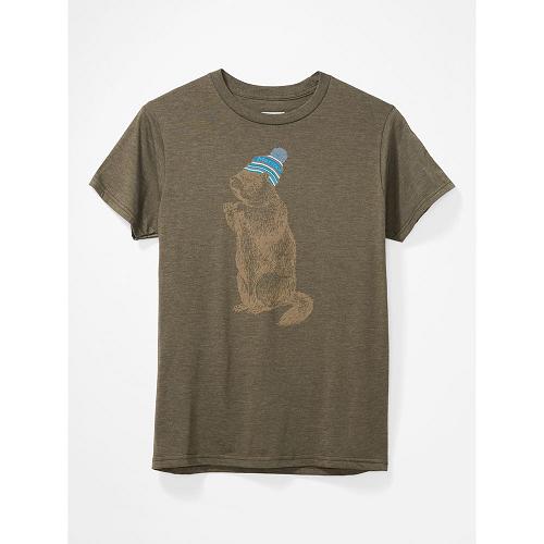 Marmot Pom Pom Clothes - Mens T-Shirts Brown CA3014796 Canada